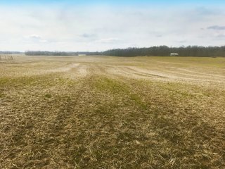 Property photo 3 - LAND AUCTION - 71+/- ACRES IN 2 TRACTS IN WILLIAMS COUNTY, OHIO